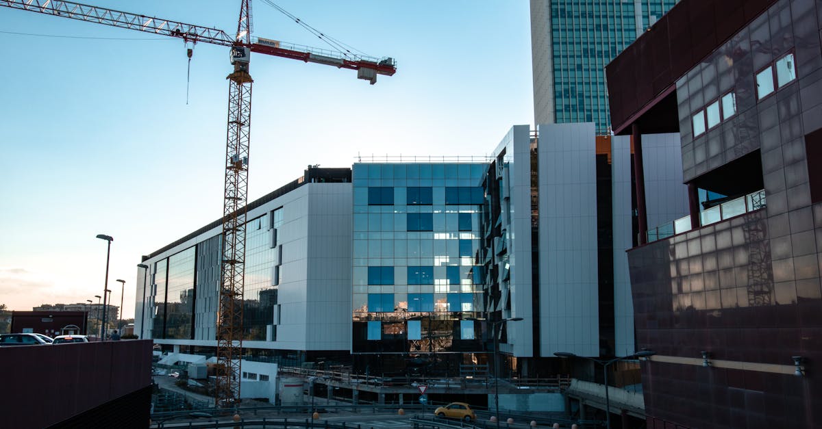 WX老号发卡网：书法扇子购买平台