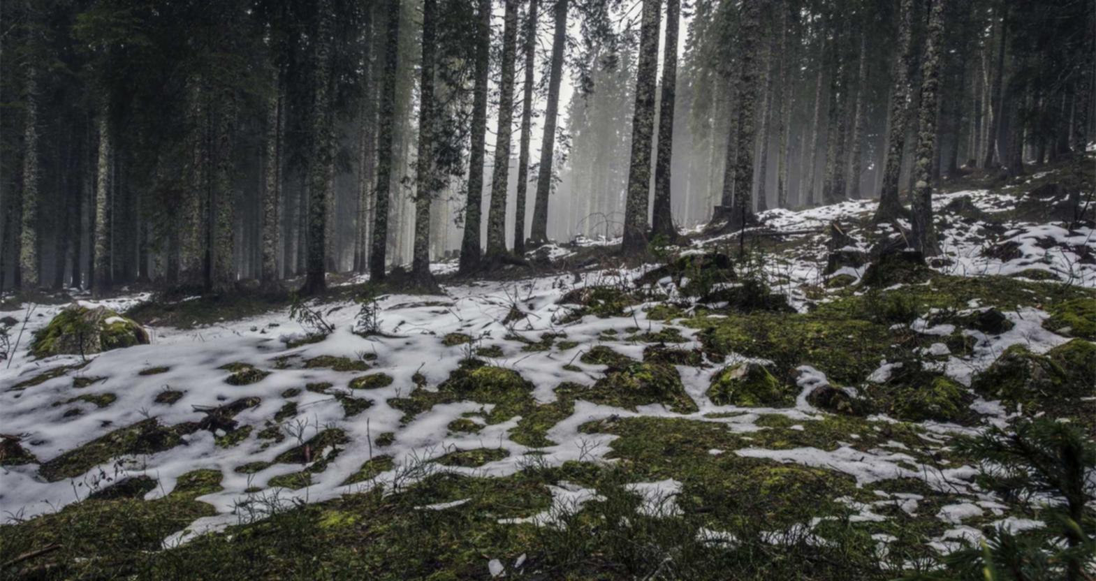 买卖微信号：同安公司注册代理记账免费