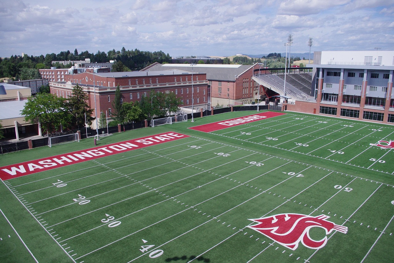 CG阔叶罗布图雪茄：电商平台怎么招分销代理