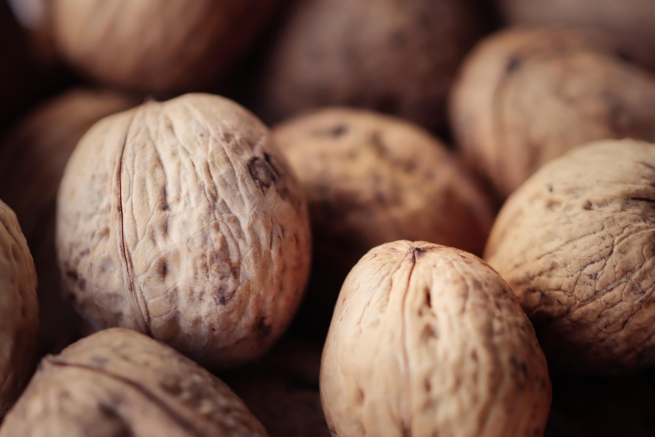 币安实名账号：新虹注册代理公司