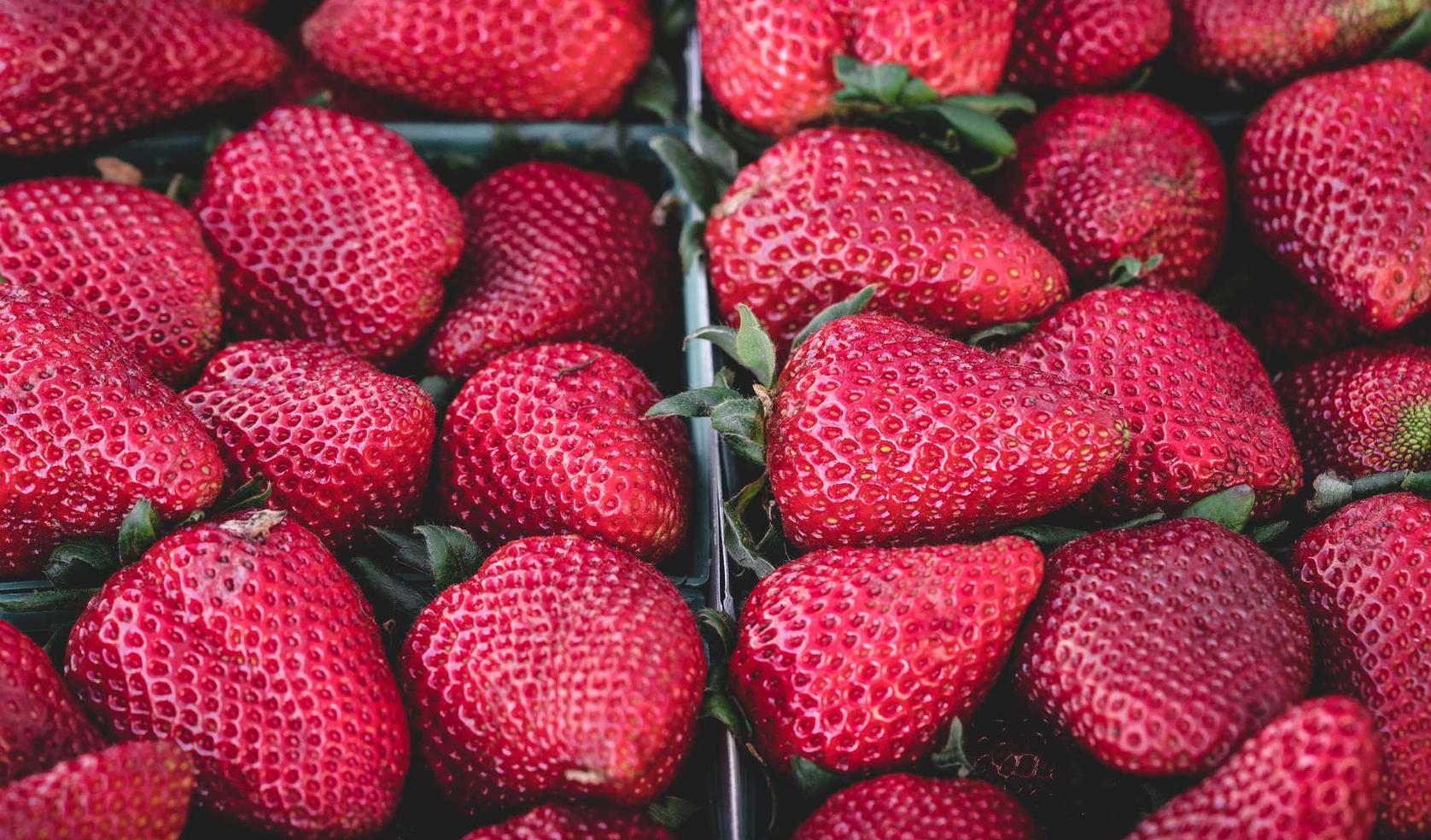 DDOS网页端平台|app页面源码详情下载教程